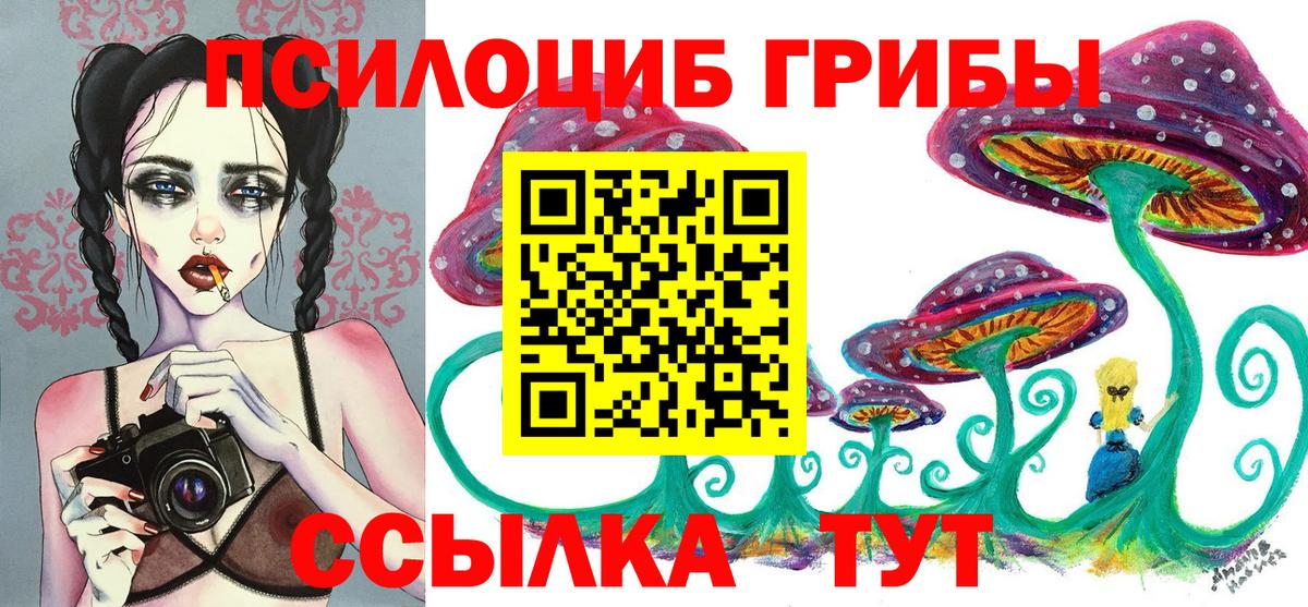 хочу наркоту  Галлюциногенные грибы мухоморы  Гусь-Хрустальный  Вход с VPN  Галлюциногенные грибы ЛСД 