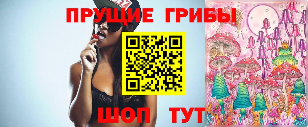 Псилоцибиновые грибы MAGIC MUSHROOMS Гусь-Хрустальный